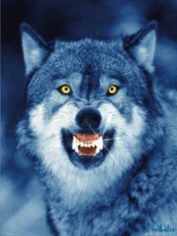 Кристина Михолап | Бобруйск