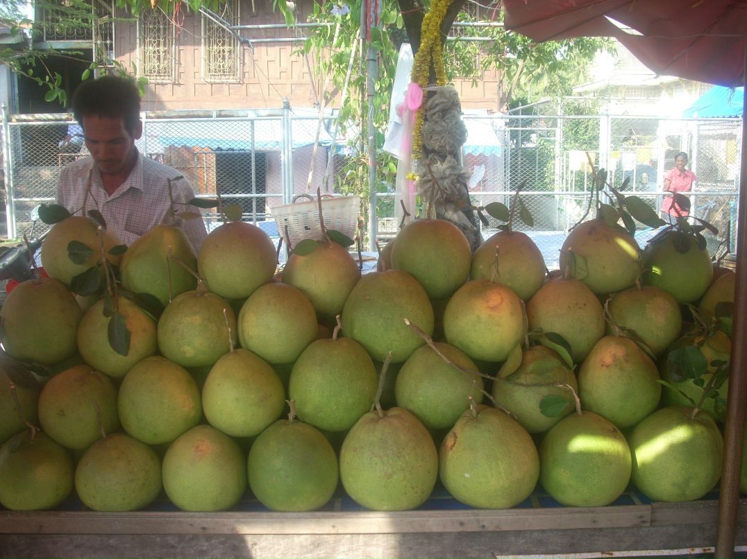 Татьяна Заеко | Санкт-Петербург