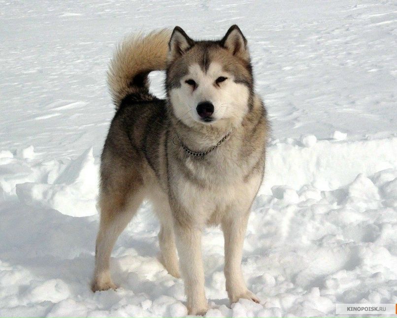 Танюша Ваколюк | Киев