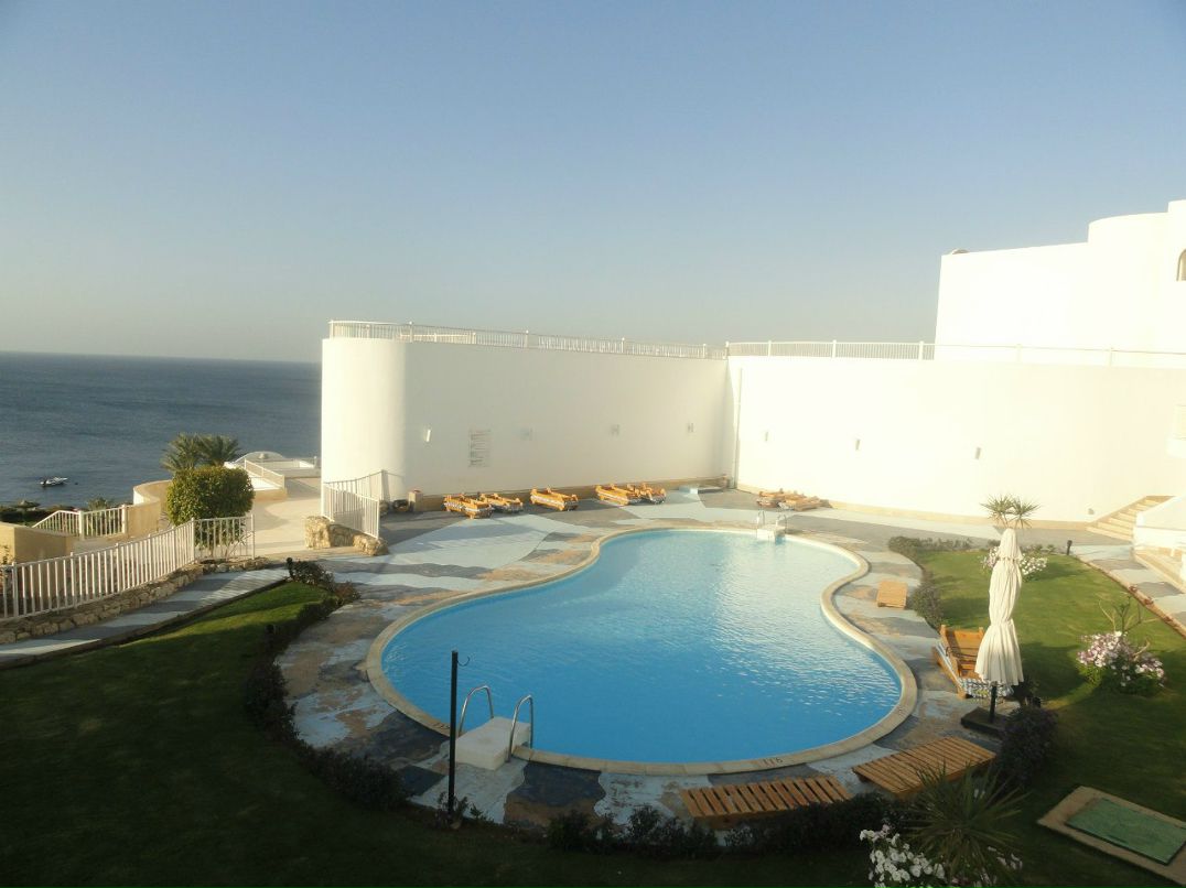 Ольга Шкитина | Тамбов