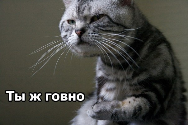 Артем Француз | Москва