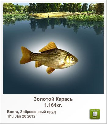 Максим Герасимов | Казань