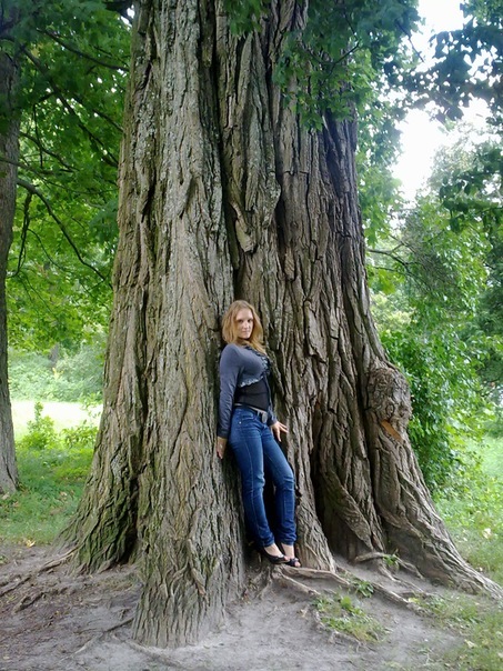 №147, Валентина Лабага, Киев №147, Валентина Лабага, Киев