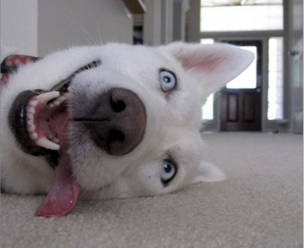 Александр Рябенко | Санкт-Петербург