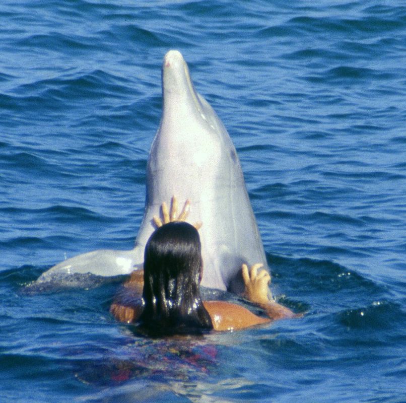 Анна Зайченкова | Новосибирск