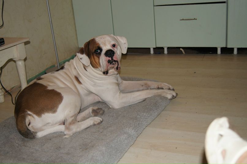 Ольга Исаева | Санкт-Петербург