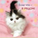 Фотография Ольга Рогачева