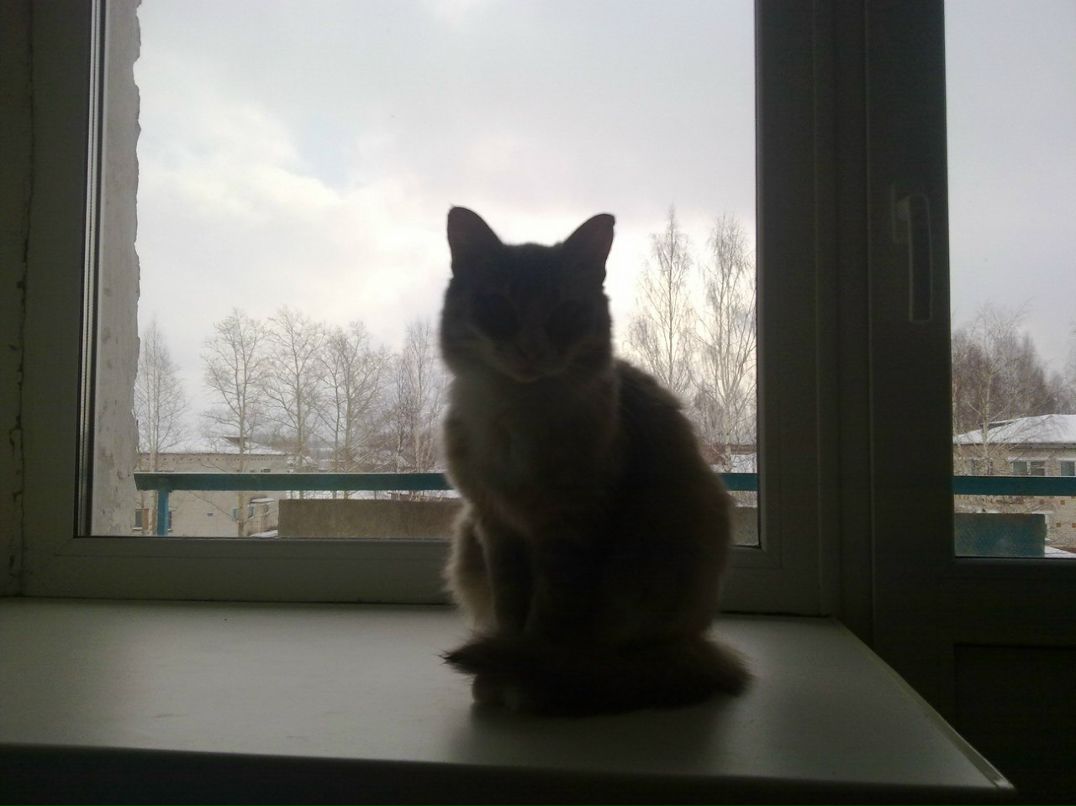 Дмитрий Вахтанин | Нижний Новгород