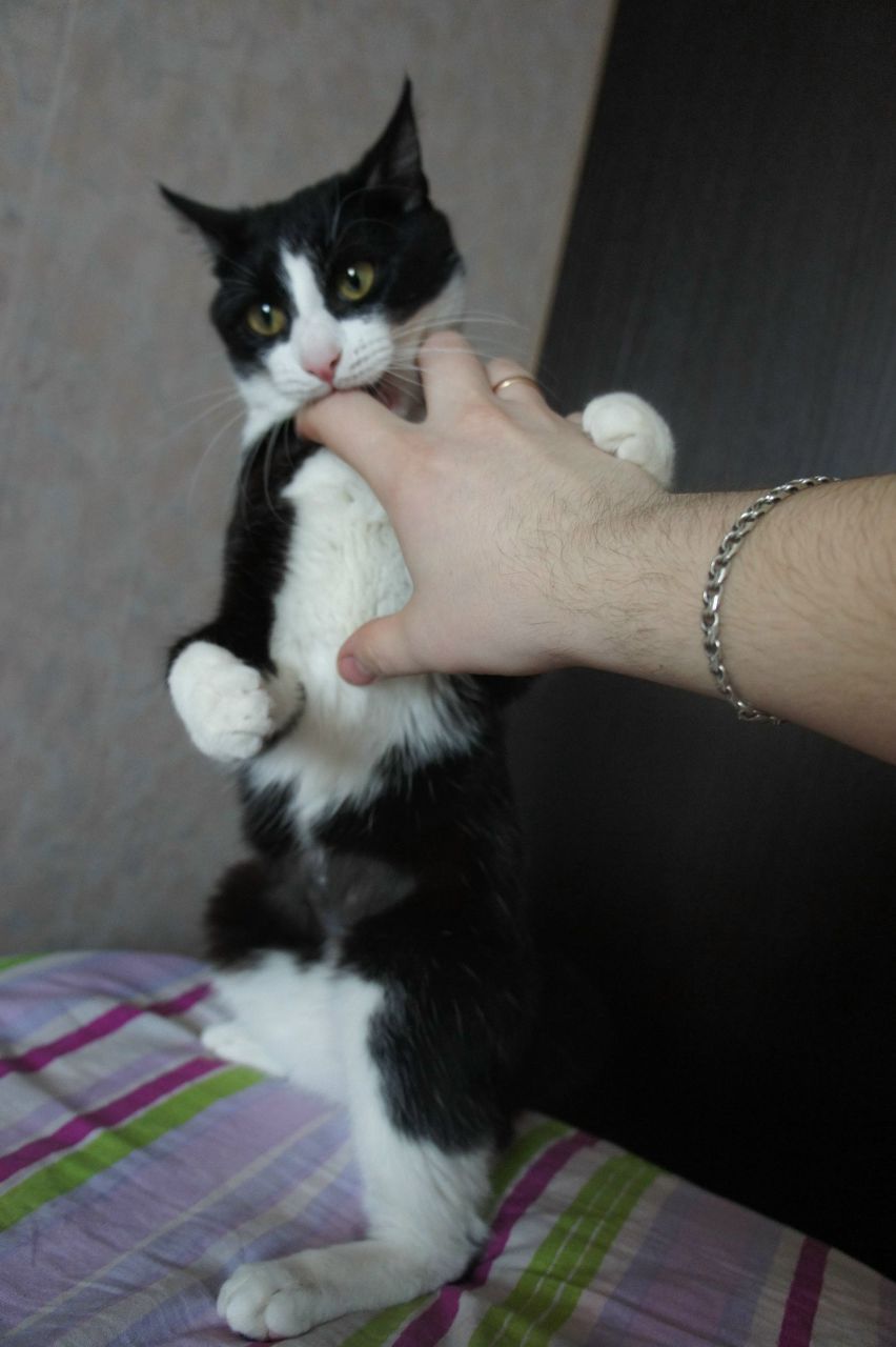 Денис Абдулов | Уфа