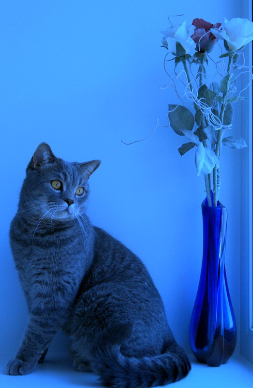 Елена Моргунова Ёn@t | Саратов