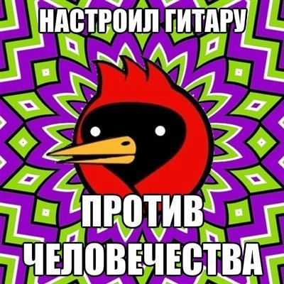 Кирилл Сорокин | 