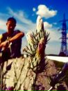 №4 Никита Иксанов 10.08: профиль, фото, статус - ВКонтакте №4 Никита Иксанов 10.08: профиль, фото, статус - ВКонтакте