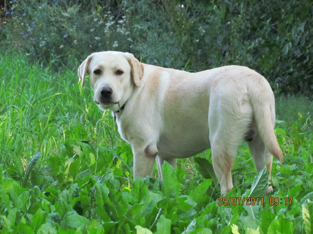 Ольга Котова mamsel | Санкт-Петербург