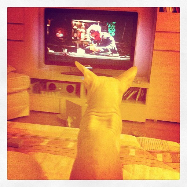 Анна Машевская | Санкт-Петербург