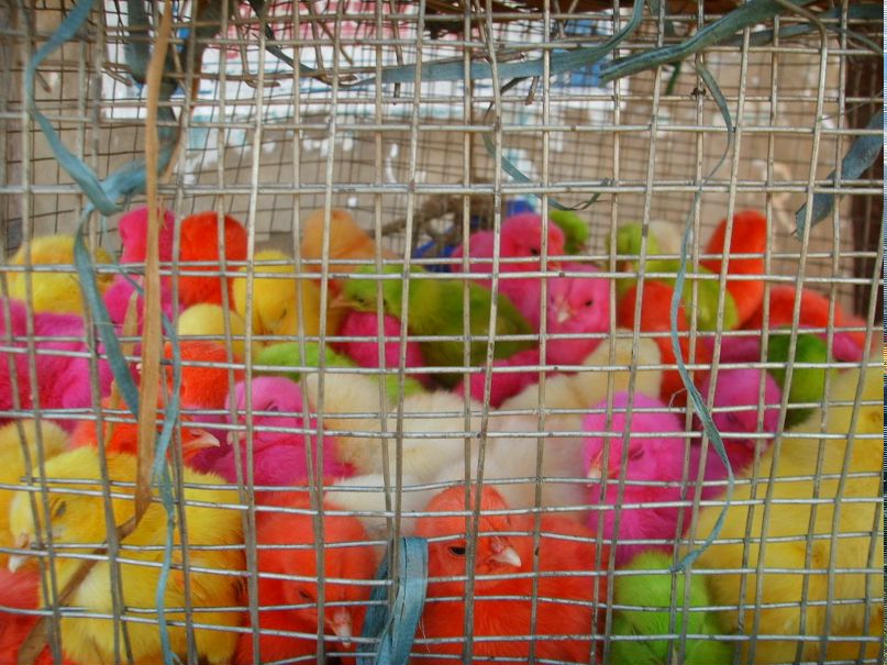 Наталия Силантьева | Санкт-Петербург