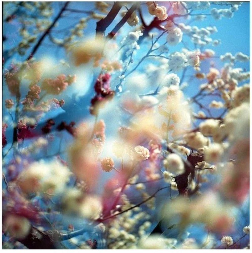 Айгуль Хикматуллина | Казань