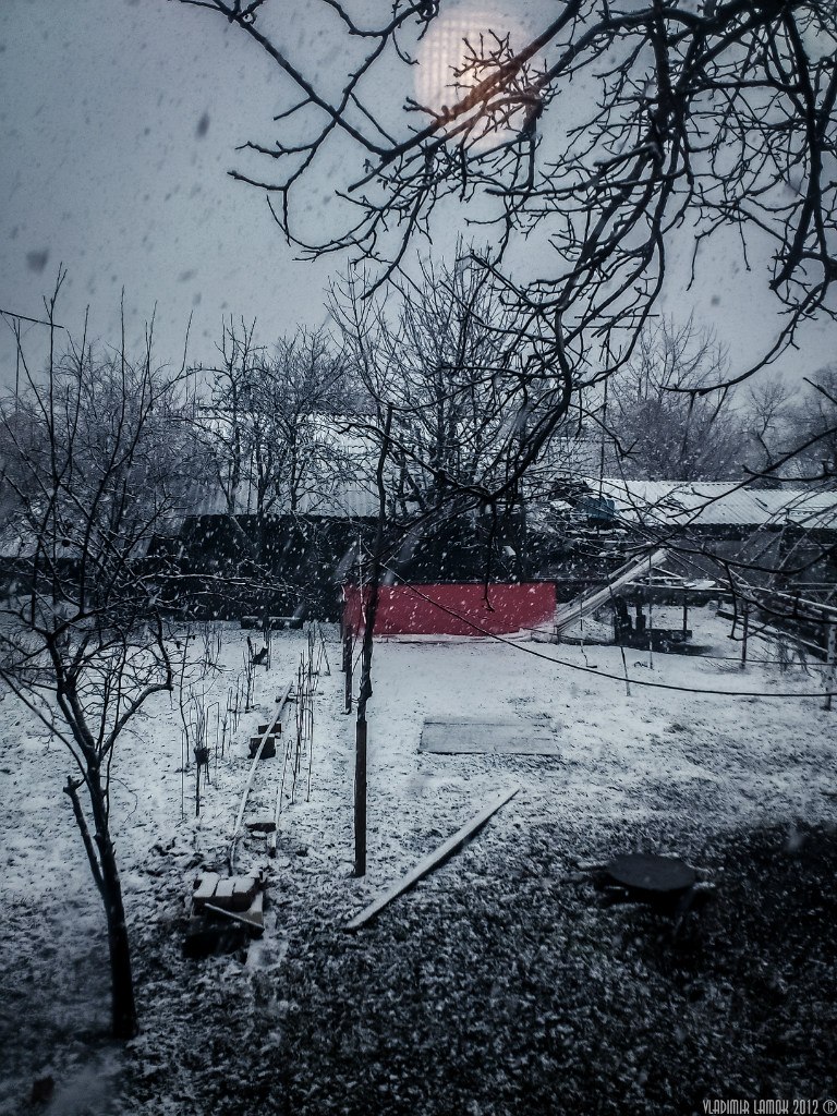 Владимир Ламок Юрьевич | Рассвет