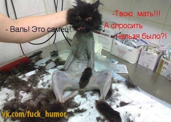 Григорий Коратаев | Псков