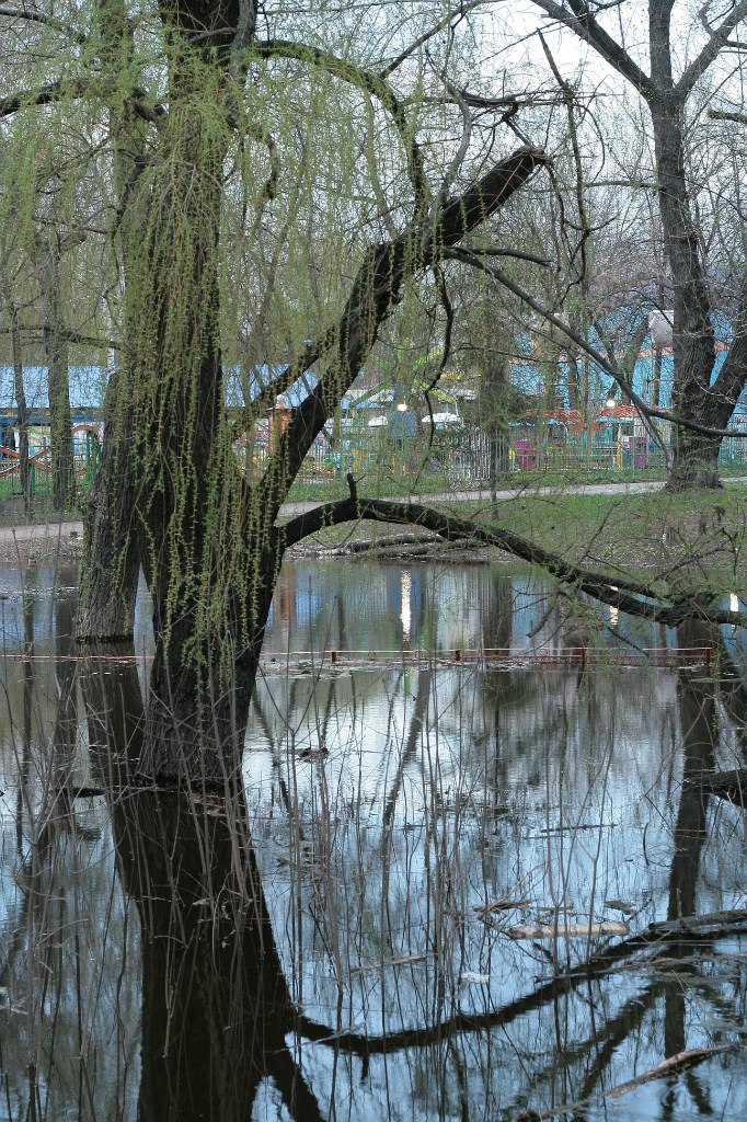 Влад Лунгов | 