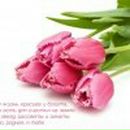 Людмила Пантелеева Иванована | Санкт-Петербург