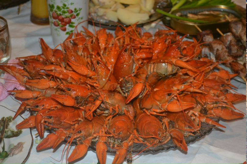 Виктория Воропаева | Симферополь