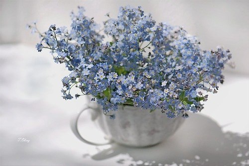 Маша Хорошева | Санкт-Петербург