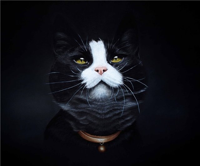 Валера Нурмухаметов | Сочи