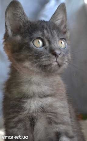 №106, Лера Науменко, 31 год, Киев №106, Лера Науменко, 31 год, Киев