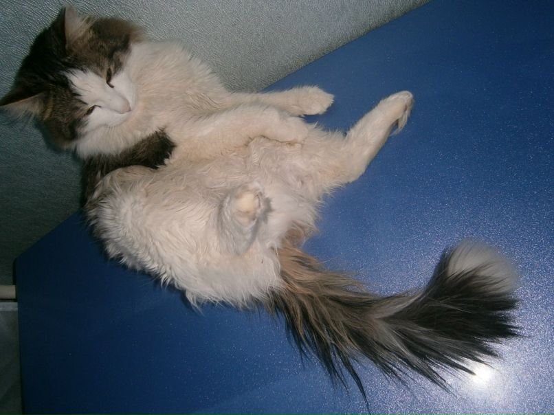 Евгений Крестьянников | 