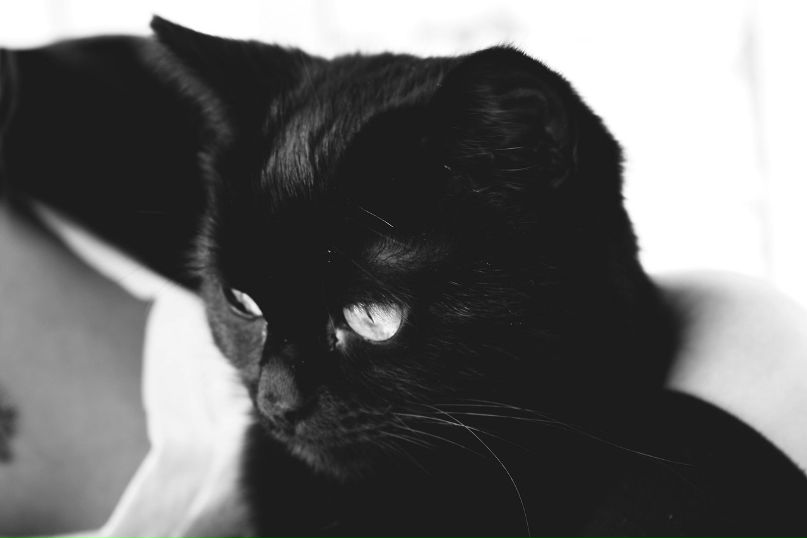 Daria Chiganova | Москва