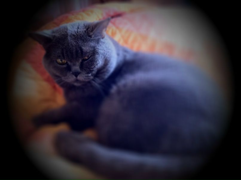 Not Climbing For | Москва