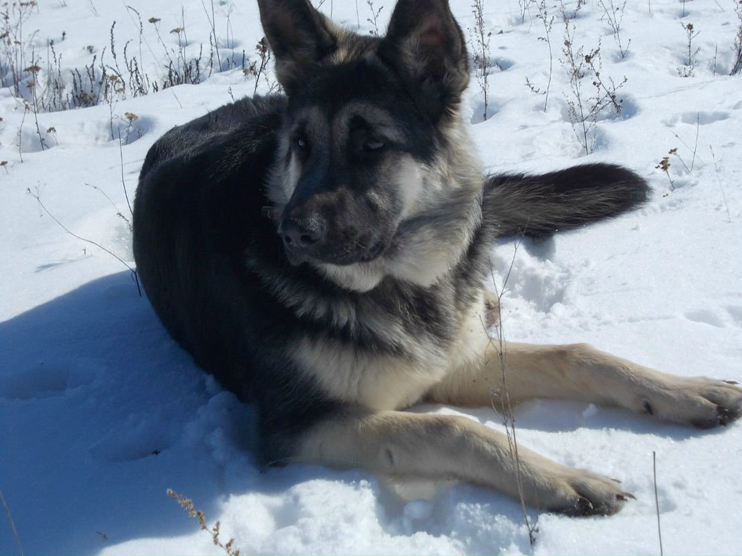 Ангелина Маркелова •¸•▪♥ ЛюБлЮ и ЛюБиМа♥▪•¸• | Боровичи