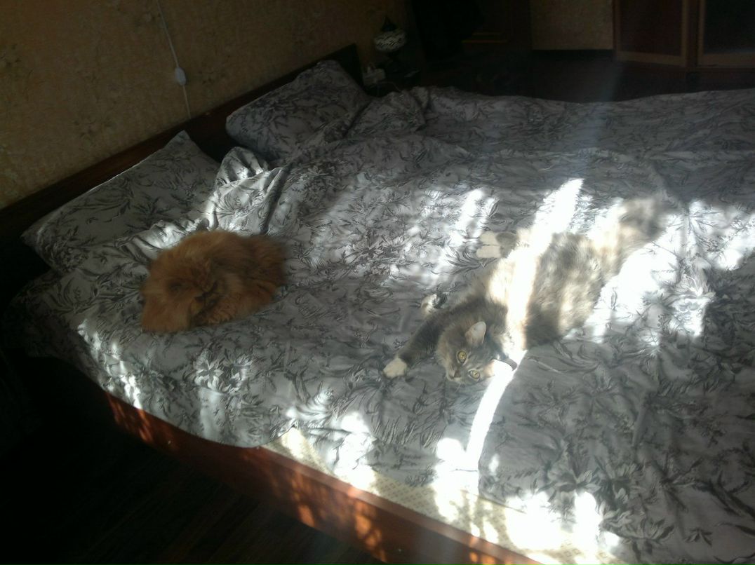 Роман Смирнов | Санкт-Петербург