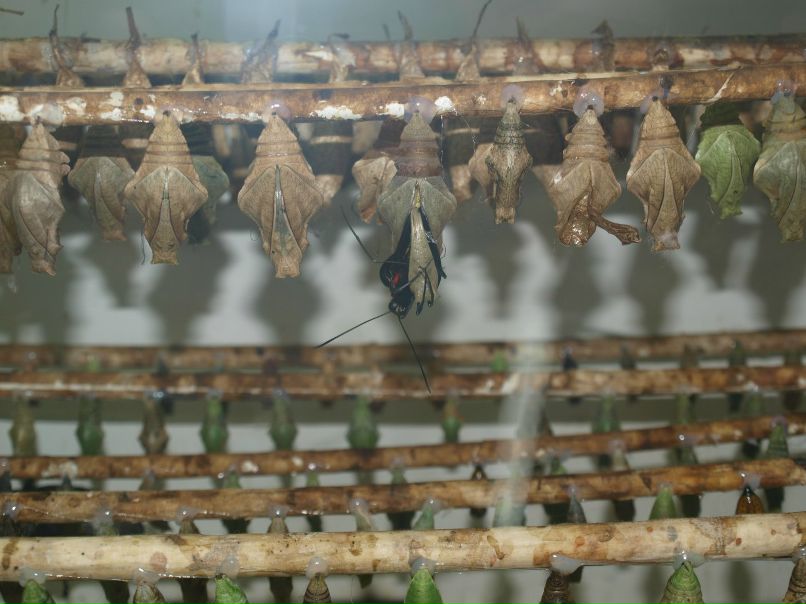 Резеда Сафиуллина | Казань