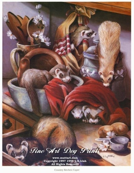 Валерия Цветкова | Санкт-Петербург