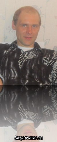 Максим Хохлов | Хвойная