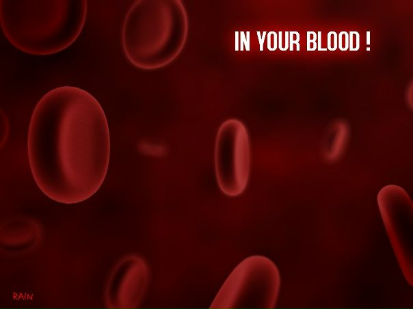 №1, Віталік Вітошко, Хмельницкий №1, Віталік Вітошко, Хмельницкий