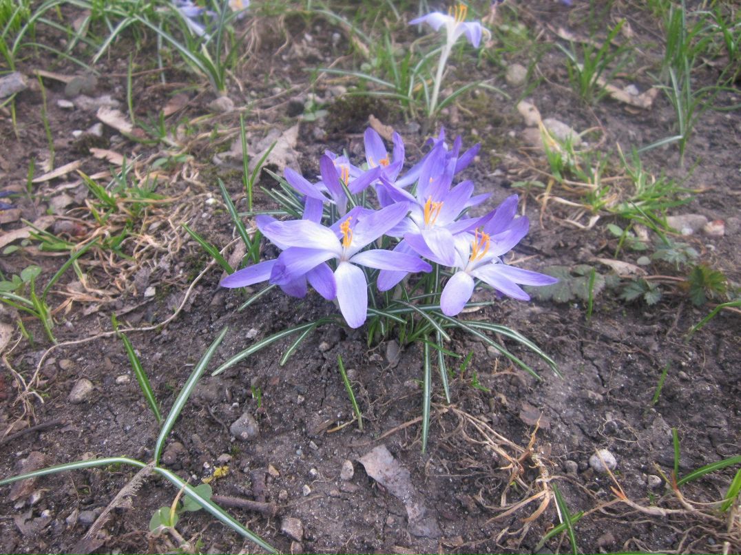 Nelly Yakush _Lady_N_ | 