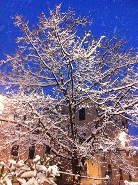 №152, Надежда Климова, Romano di Lombardia №152, Надежда Климова, Romano di Lombardia