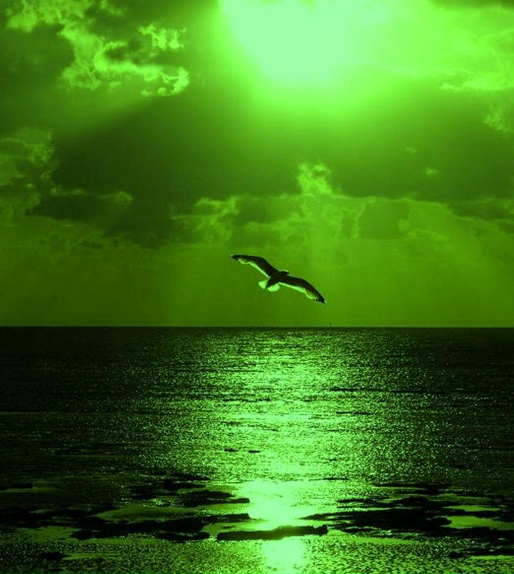 Ольга Фёклина | Казань