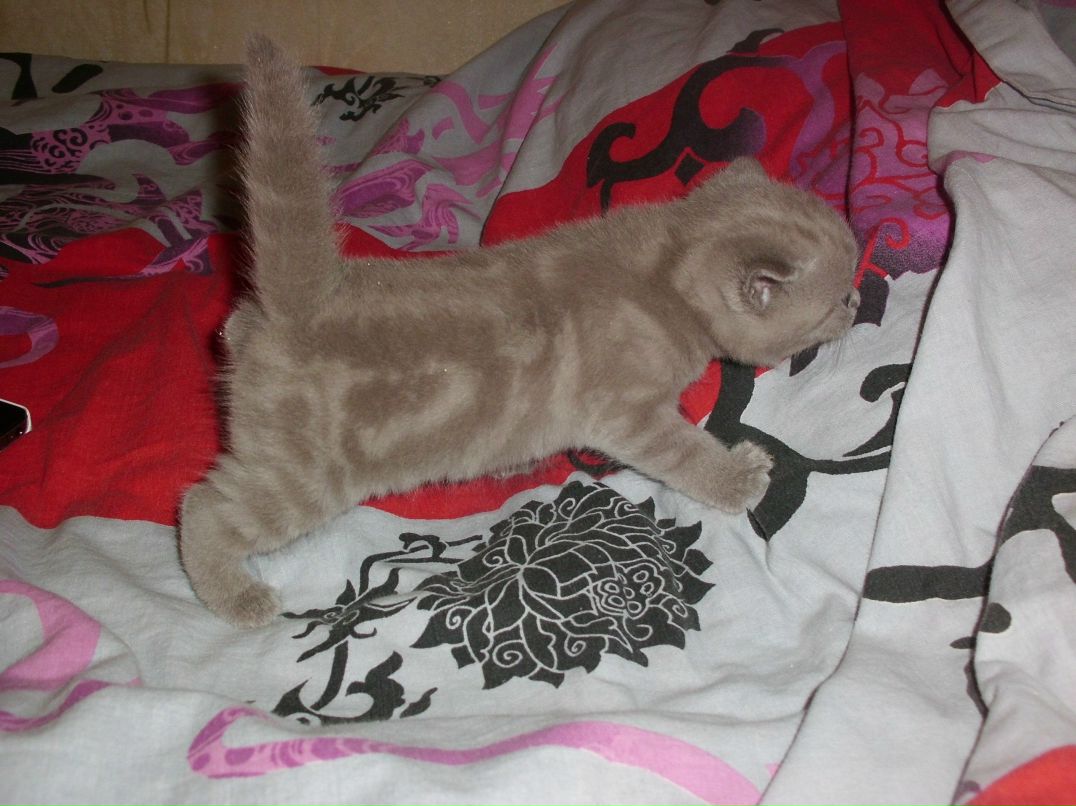 Диана Зотова | Москва