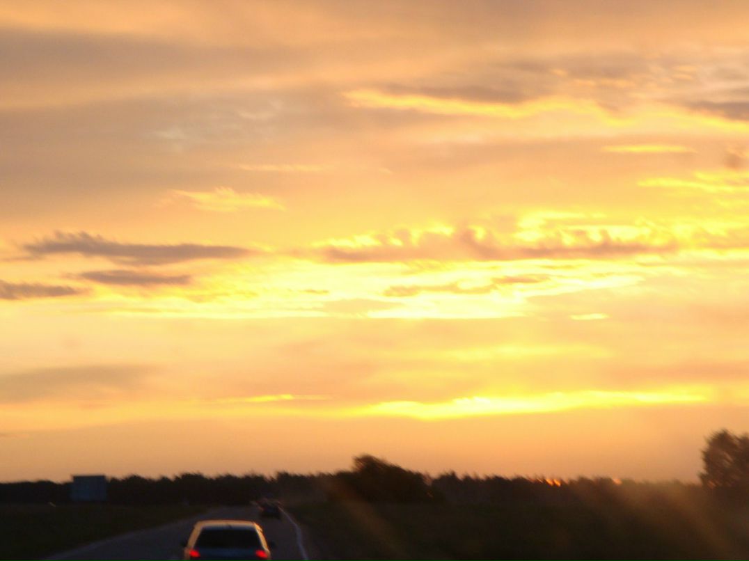 Дмитрий Никулин | Бетьки