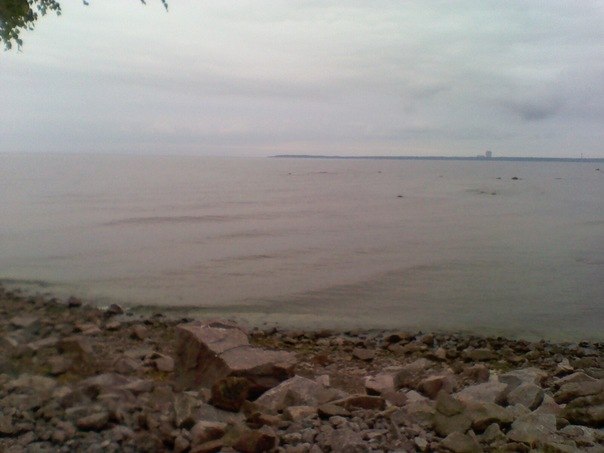 Егор Тестов | Ухта