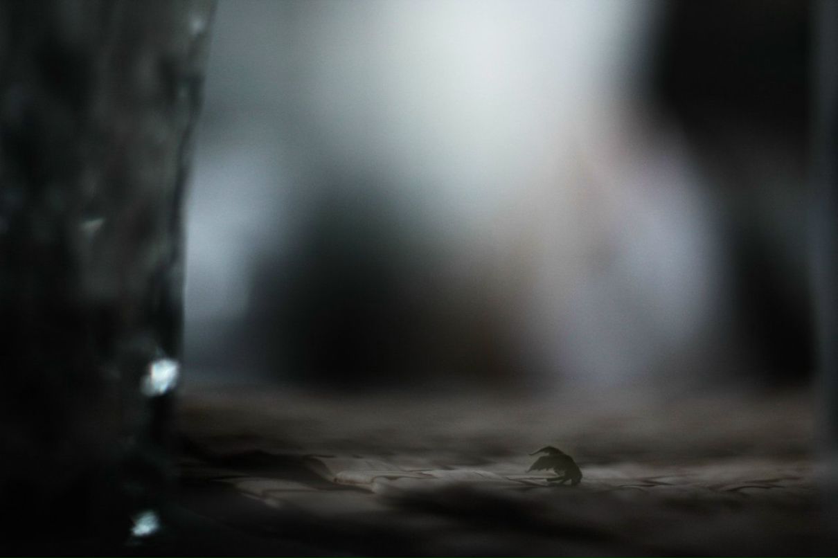 Василий Бурно | Москва