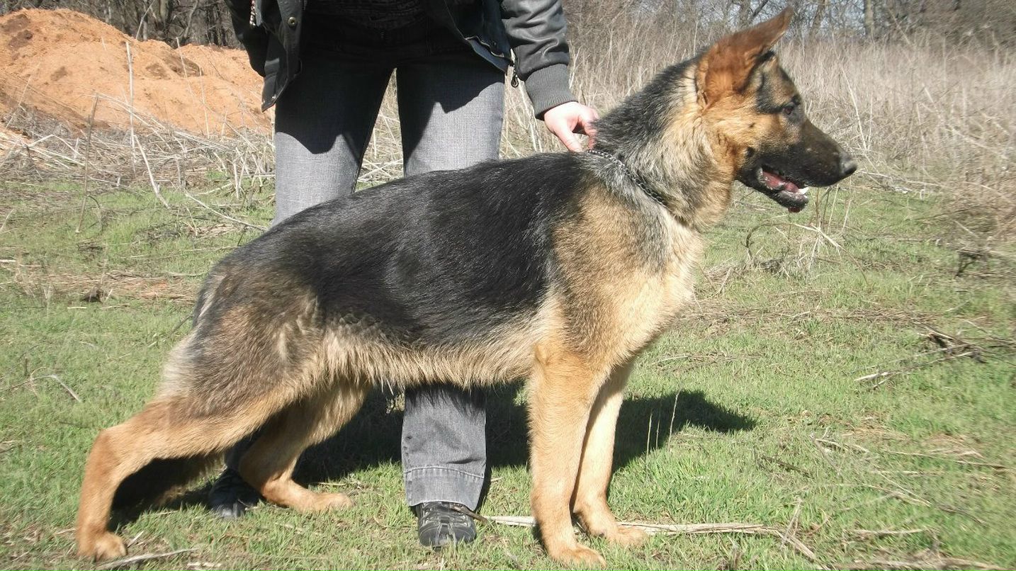 Наталья Смирнова | Симферополь