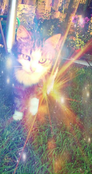 №2, Алёнка Баста №2, Алёнка Баста