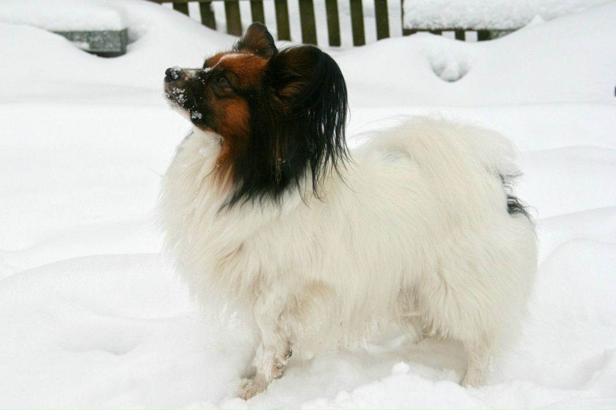 Александра Бялковская | Москва