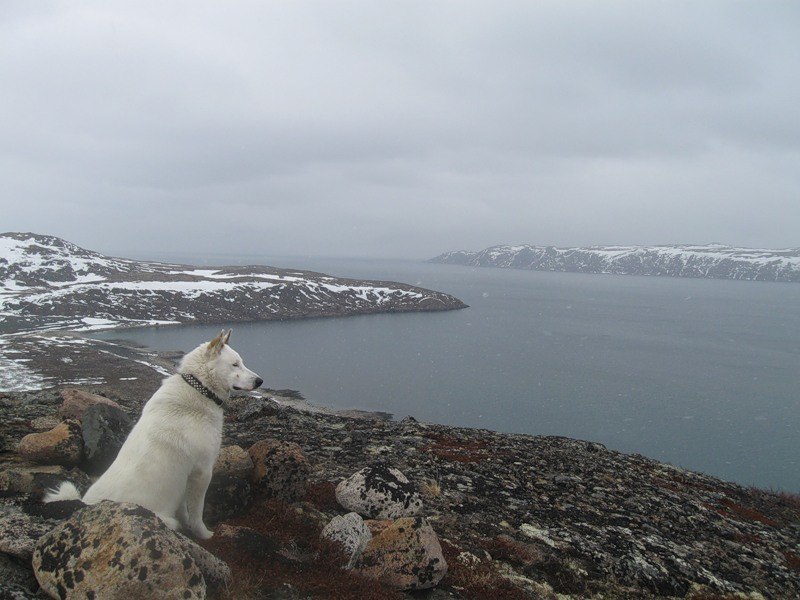 Александр Грачёв | Нижний Новгород