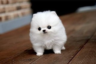 Анна Валитова | Санкт-Петербург