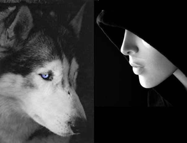 Игорь Команич | Москва